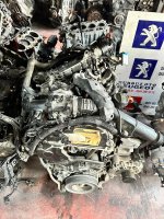  Peugeot Rıfter 1.5 BlueHdi Motor Orjınal Çıkma